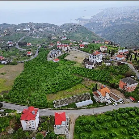 Hotel Naz *